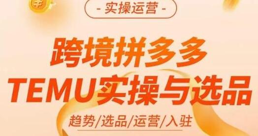 伍跃·跨境拼多多TEMU实操与选品，​趋势/选品/运营/入住（27节完整）-蜗牛学社