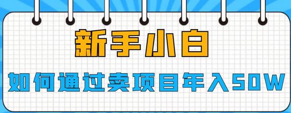 新手小白如何通过卖项目年入50W-鲤鱼笔记