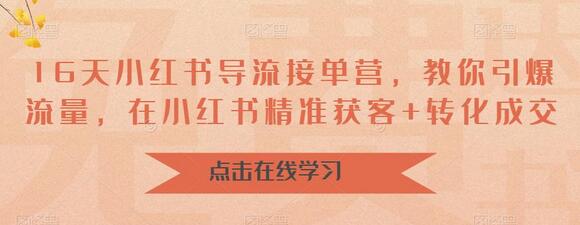 16天小红书导流接单营，教你引爆流量，在小红书精准获客+转化成交-鲤鱼笔记