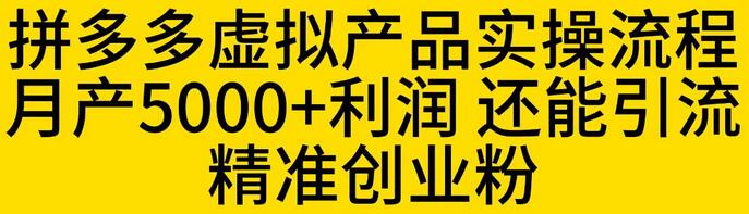 拼多多虚拟产品实操流程，月产5000+利润，还能引流精准创业粉-鲤鱼笔记