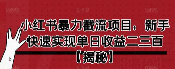 小红书暴力截流项目，新手快速实现单日收益二三百-鲤鱼笔记