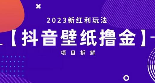 抖音壁纸小程序创作者撸金项目，2023新红利玩法-鲤鱼笔记