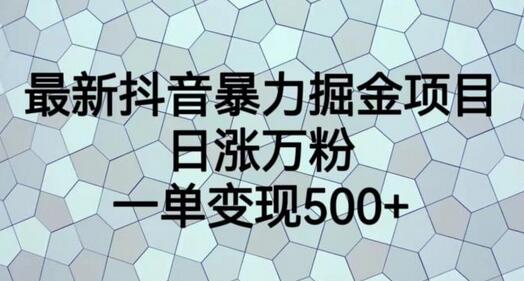 最新抖音暴力掘金项目，日涨万粉，一单变现500+-鲤鱼笔记