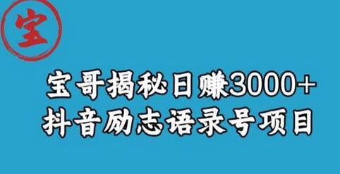 宝哥揭秘日赚3000+抖音励志语录号短视频变现项目-鲤鱼笔记