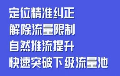 同城账号付费投放运营优化提升，​定位精准纠正，解除流量限制，自然推流提升，极速突破下级流量池-蜗牛学社