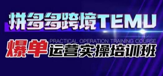 拼多多跨境TEMU爆单运营实操培训班，海外拼多多的选品、运营、爆单-蜗牛学社