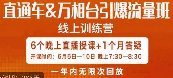 直通车&万相台引爆流量班，6天打通你开直通车·万相台的任督二脉-蜗牛学社