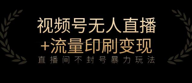 全网首发视频号不封号无人直播暴利玩法+流量印刷机变现，日入1000+-鲤鱼笔记