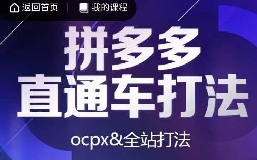 互力·拼多多直通车打法，ocpx&全站打法-蜗牛学社