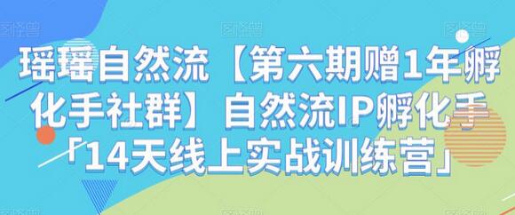 瑶瑶自然流【第六期赠1年孵化手社群】自然流IP孵化手「14天线上实战训练营」-鲤鱼笔记