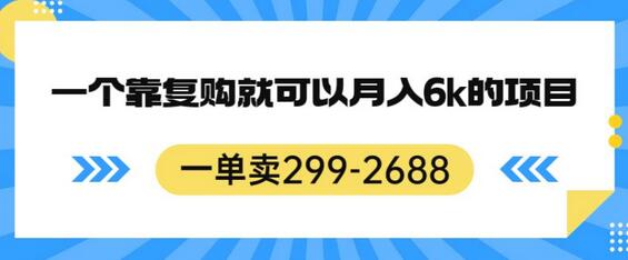 一单卖299-2688，一个靠复购就可以月入6k的暴利项目-鲤鱼笔记