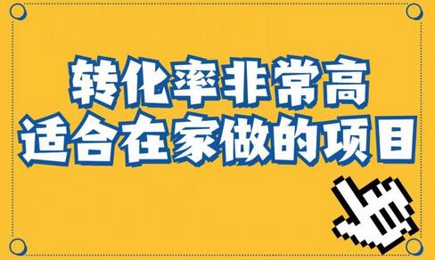 小红书虚拟电商项目：从小白到精英（视频课程+交付手册）-鲤鱼笔记