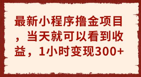 最新小程序撸金项目，当天就可以看到收益，1小时变现300+-鲤鱼笔记