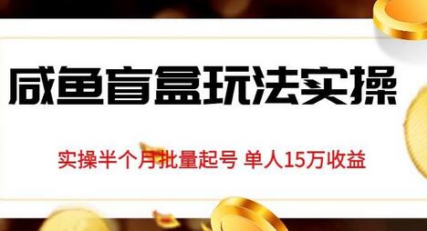 独家首发咸鱼盲盒玩法实操，半个月批量起号单人15万收益-鲤鱼笔记