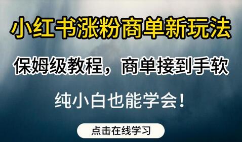 小红书涨粉商单新玩法，保姆级教程，商单接到手软，纯小白也能学会-蜗牛学社