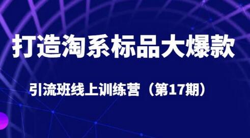 打造淘系标品大爆款引流班线上训练营（第17期）5天直播授课-鲤鱼笔记