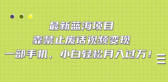 最新蓝海项目，靠禁止废话视频变现，一部手机，小白轻松月入过万-鲤鱼笔记