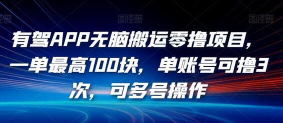 有驾APP无脑搬运零撸项目，一单最高100块，单账号可撸3次，可多号操作-鲤鱼笔记