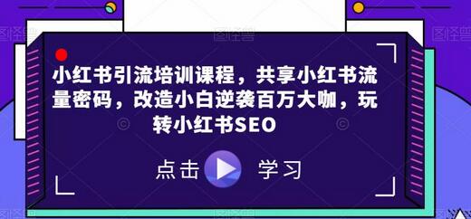 小红书引流培训课程，共享小红书流量密码，改造小白逆袭百万大咖，玩转小红书SEO-鲤鱼笔记