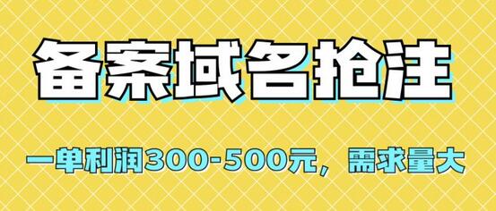 备案域名抢注，一单利润300-500元，需求量大-鲤鱼笔记