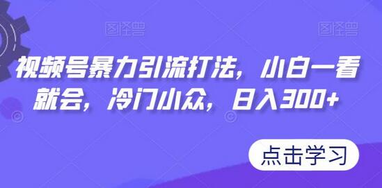 视频号暴力引流打法，小白一看就会，冷门小众，日入300+-鲤鱼笔记