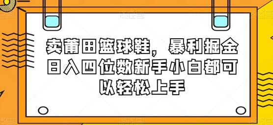 卖莆田篮球鞋，暴利掘金日入四位数新手小白都可以轻松上手-鲤鱼笔记