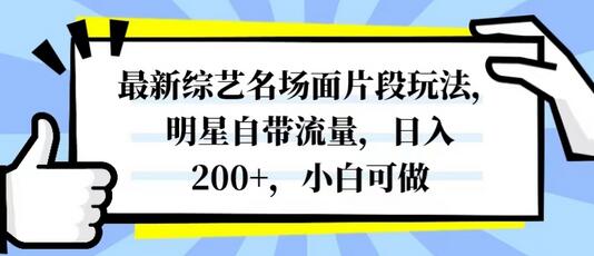 最新综艺名场面片段玩法，明星自带流量，日入200+，小白可做-鲤鱼笔记