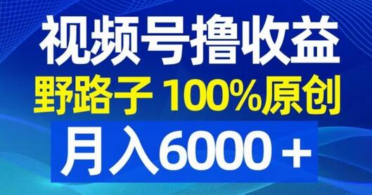 视频号野路子撸收益，100%原创，条条爆款，月入6000＋-鲤鱼笔记