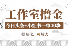 工作室撸金二件套：撸今日头条原创收益+小红书一单利润40块项目-蜗牛学社