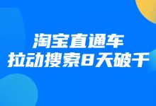 进阶战速课：淘宝直通车拉动搜索8天破千-蜗牛学社