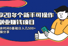 20多个新手可操作的副业赚钱项目：业余时间0基础日入几500+实操分享-蜗牛学社