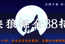 侠狼掘金38招第20招羊毛全自动采集站，点爆你的精准流量-蜗牛学社