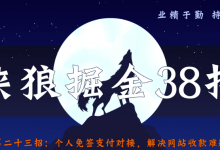 侠狼掘金38招第23招个人免签支付对接，彻底解决网站收款问题！-蜗牛学社