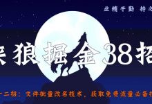 侠狼掘金38招第32招文件批量改名技术，获取免费流量必备技能【视频课程】-蜗牛学社