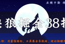 侠狼掘金38招第35招流量指路标，工具集合导航站，被动躺赚月入3000+【视频课程】-蜗牛学社