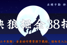 侠狼掘金38招第25招全自动付费资源下载站，轻松月入3w+-蜗牛学社