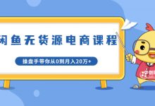 龟课·闲鱼无货源电商课程第20期：闲鱼项目操盘手带你从0到月入20万+-蜗牛学社