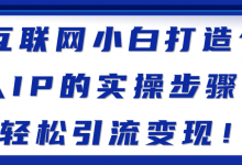 互联网小白打造个人IP的实操步骤，轻松引流变现！【视频教程】-蜗牛学社