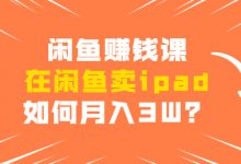 闲鱼赚钱课：在闲鱼卖IPAD，如何月入3W？详细操作教程-蜗牛学社