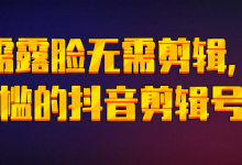 无需露脸无需剪辑，零门槛的抖音剪辑号！【视频教程】-蜗牛学社