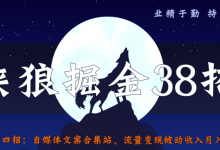 侠狼掘金38招第33招批量添加视频水印，精准流量自动上门寻找-蜗牛学社