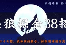 侠狼掘金38招第27招表白网站集合，抓取精准情侣流量【视频课程】-蜗牛学社