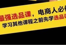 逐鹿蓝海高利润选品课：你只要能选好一个品，就意味着一年轻松几百万的利润-蜗牛学社