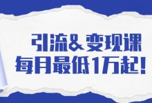 引流&变现课：分享一整套流量方法以及各个渠道收入，每月最低1万起！-蜗牛学社