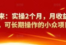 祖小来：实操2个月，月收益2万+，可长期操作的小众项目-蜗牛学社