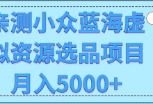 亲测小众蓝海虚拟资源选品项目月入5000+【视频教程】-蜗牛学社