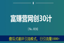 富赚营网创30计024：傻瓜式循环引流模式，日引流量1000+-蜗牛学社