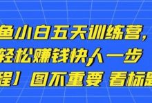 卓让闲鱼小白五天训练营，每天一小时，轻松赚钱快人一步【视频课程】-蜗牛学社