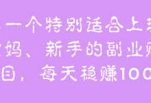 特别适合上班族、宝妈、新手的副业赚钱项目，每天稳赚100+【视频教程】-蜗牛学社