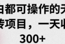 小白都可操作的无脑搬砖项目，一天收益300+【视频教程】-蜗牛学社